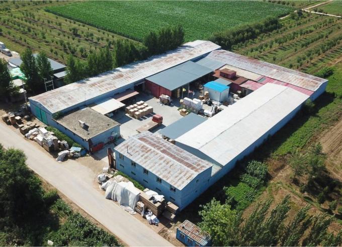 Laminated Veneer Lumber for Fumigation Wood Pallet Wooden Pallet Price